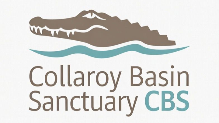 Yes! We Agree ... Create Collaroy Basin Sanctuary campaign photo, 1 of 3