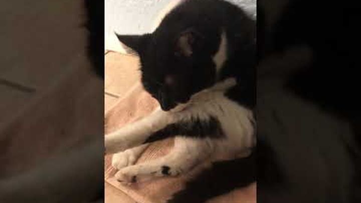 Hoofdafbeelding inzamelingsactie