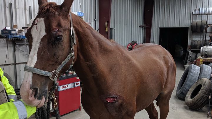 Hoofdafbeelding inzamelingsactie