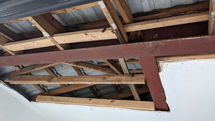 Help squid repair their Roof campaign photo, 1 of 2