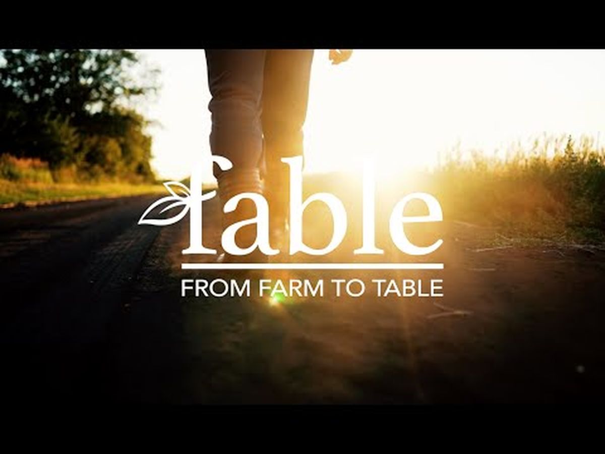 Fundraiser’s main image