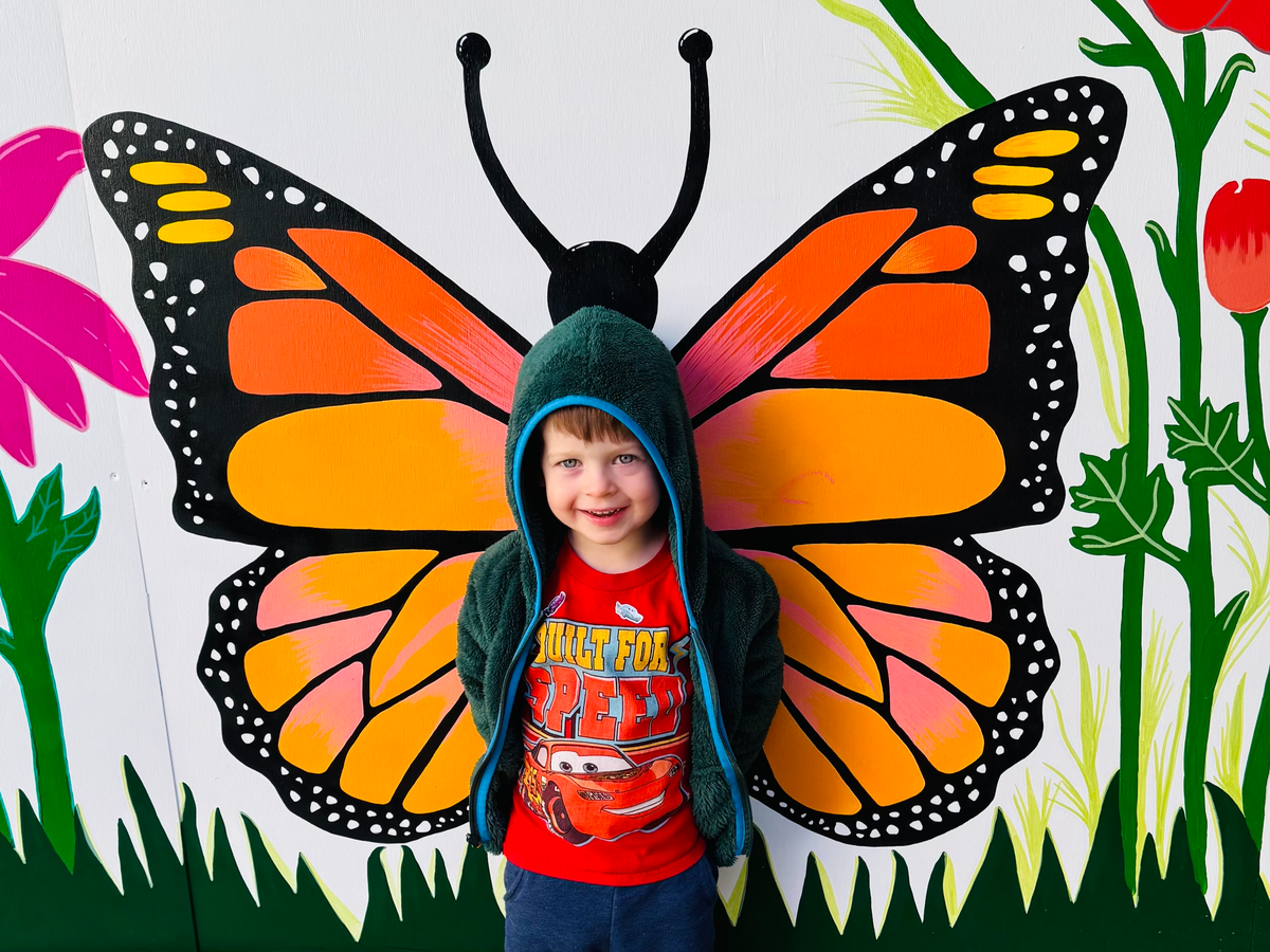 Fundraiser’s main image
