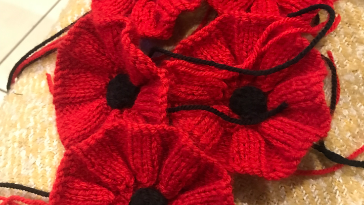 Ripley Poppy Knitters campaign photo, 1 of 4