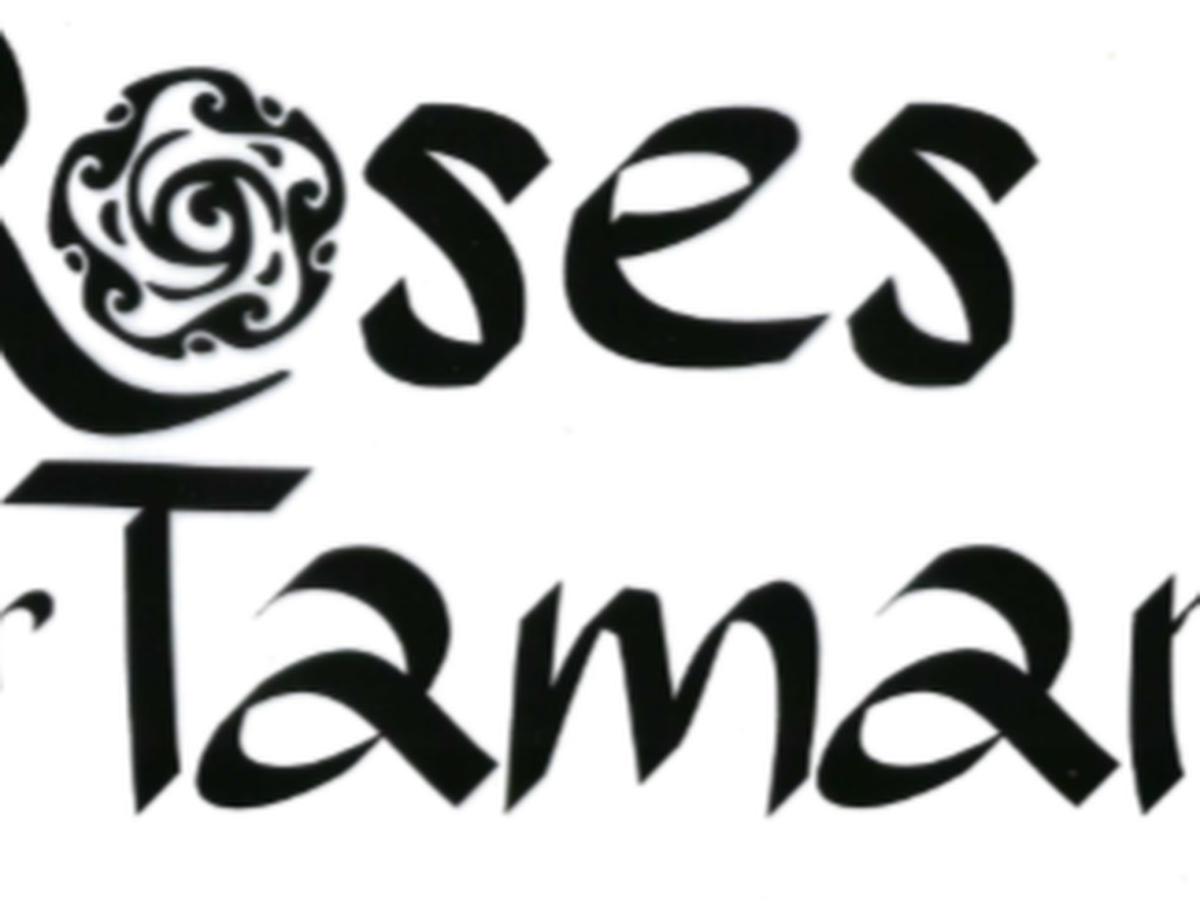 Fundraiser’s main image