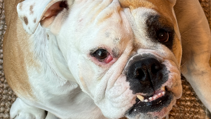 Help Save Ramona’s Sight Before She Goes Blind campaign photo, 1 of 7