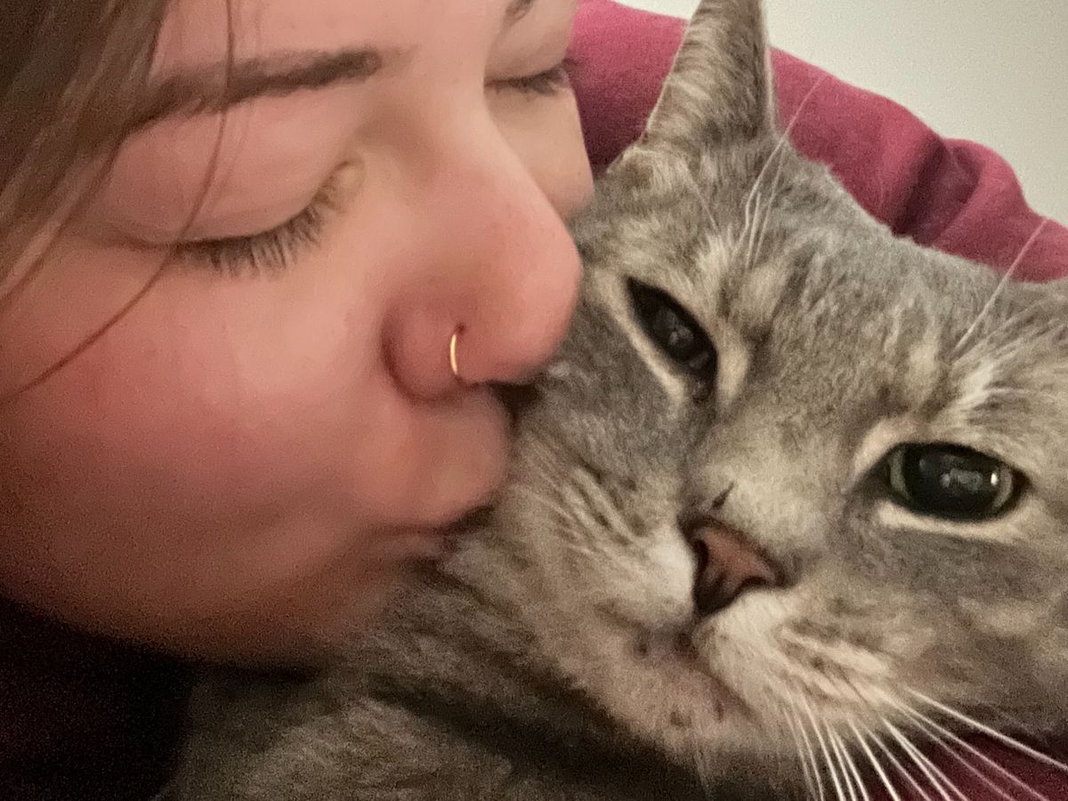 Fundraiser by Noelle Imel : Help Sarge Get Life-Saving Surgery