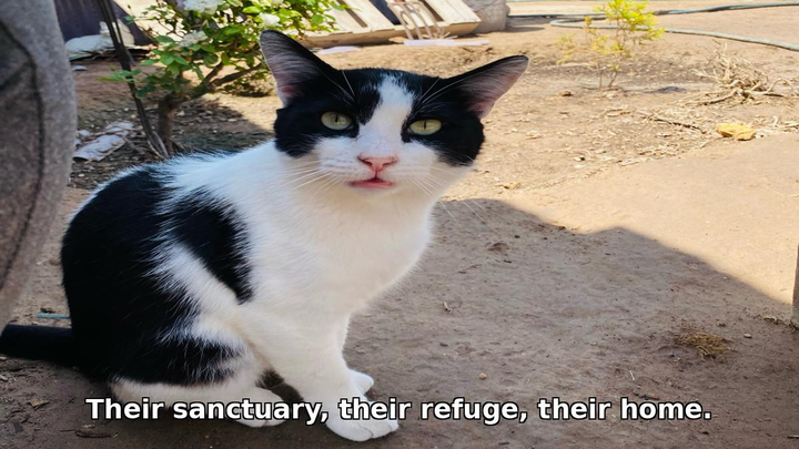 Help Us Protect Our Sanctuary from a New Danger campaign photo, 1 of 4