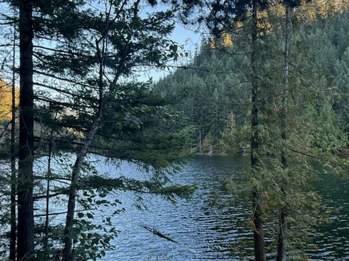Fundraiser’s main image
