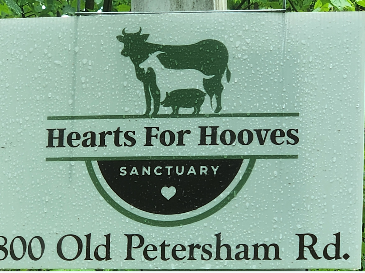 Fundraiser’s main image