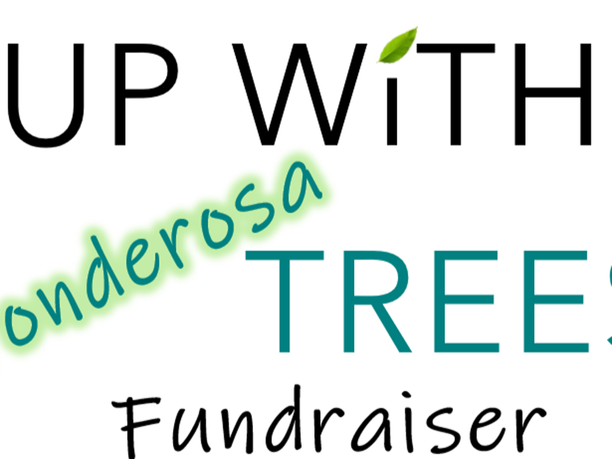 Fundraiser’s main image