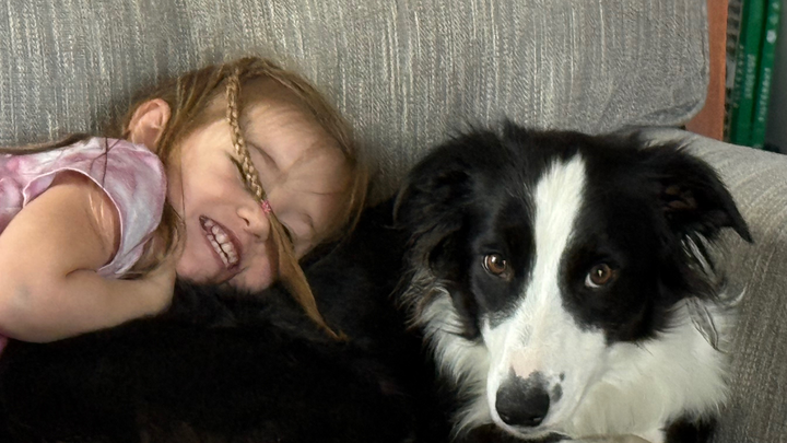 Donate to Save Our Family's Collie, Freya campaign photo, 1 of 7