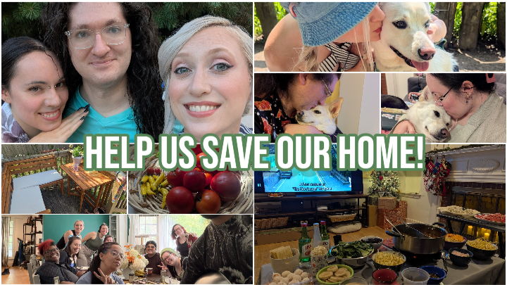 Help Rook, Griswald, and Bebop Keep Their Home campaign photo, 1 of 8
