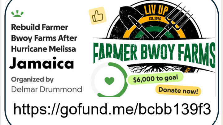Rebuild Farmer Bwoy Farms After Hurricane Melissa in Jamaica campaign photo, 1 of 5