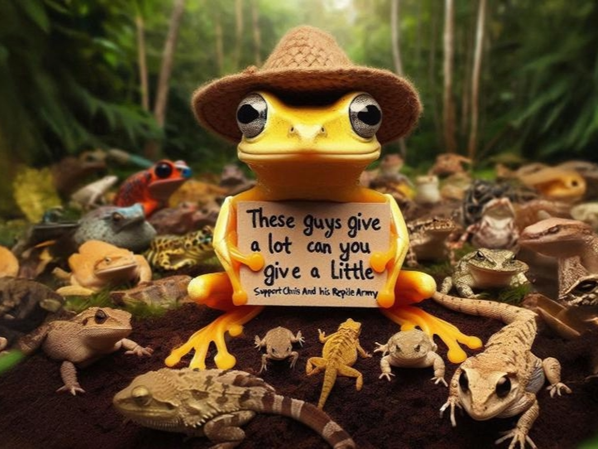 Fundraiser’s main image