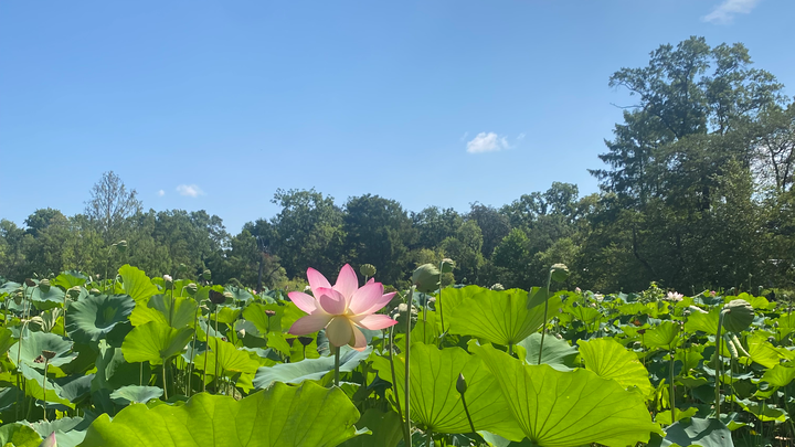 Hauptbild des Spendenaufrufs