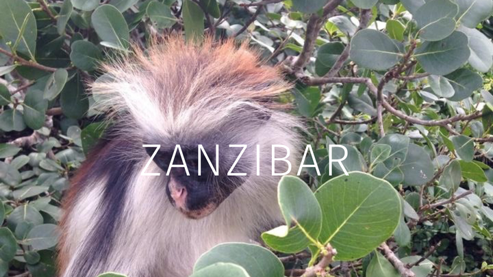 Zanzibar to help families, communities & the environment campaign photo, 1 of 5