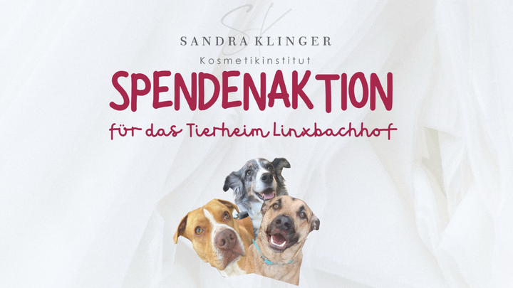 Hauptbild des Spendenaufrufs