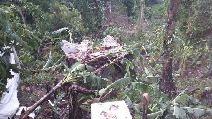 Help Ewarton Recover After Hurricane Melissa campaign photo, 1 of 3