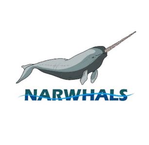 Narwhal Team