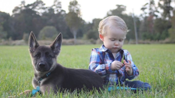 Main fundraiser photo