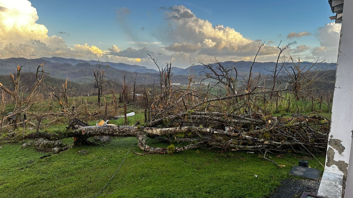 Support Lennox Bigwoods Families in Rebuilding their Homes campaign photo, 1 of 8