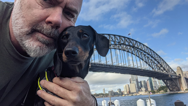 Help Louie Recover After a Serious Dog Attack campaign photo, 1 of 2