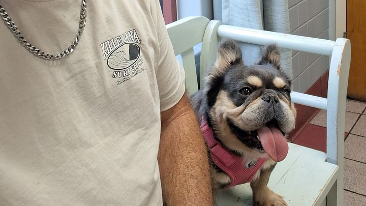 Help My Pet Get Urgent Surgery campaign photo, 1 of 3