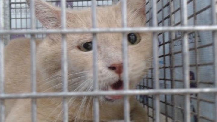 Main fundraiser photo