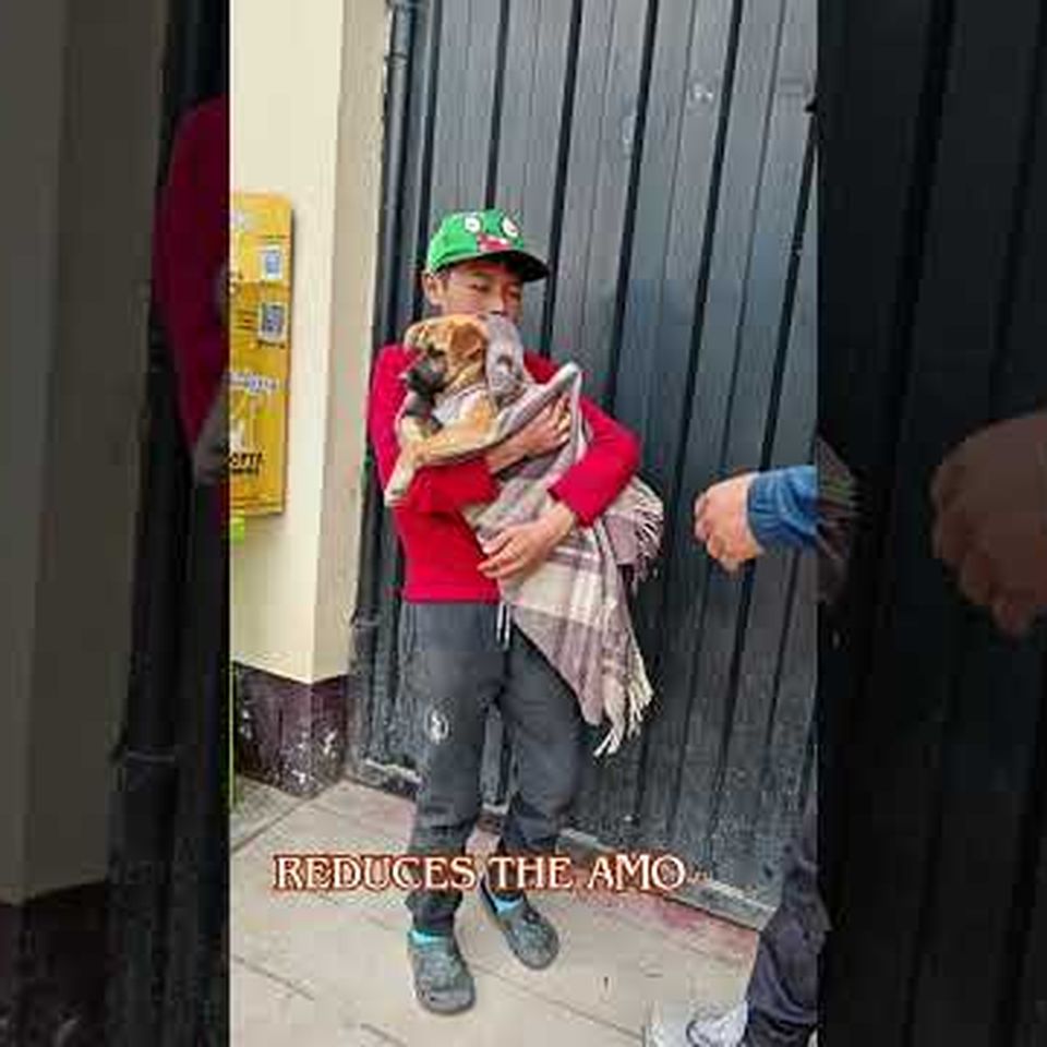 Sponsor A Spay in the Andes of Peru