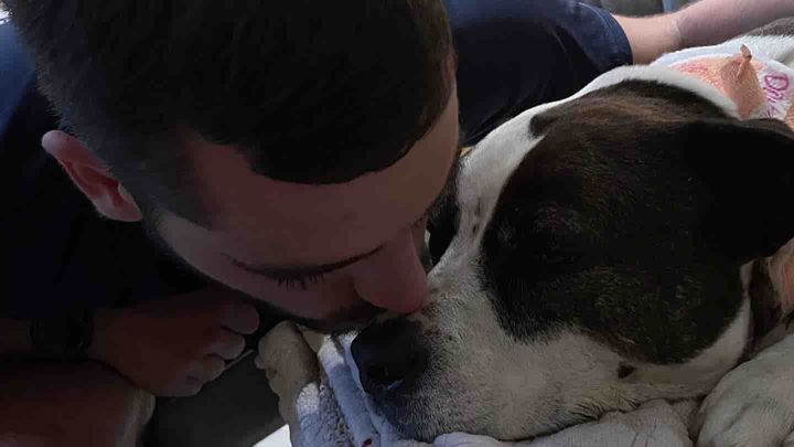 FOR THOR- the dog who runs with his girl! campaign photo, 1 of 2