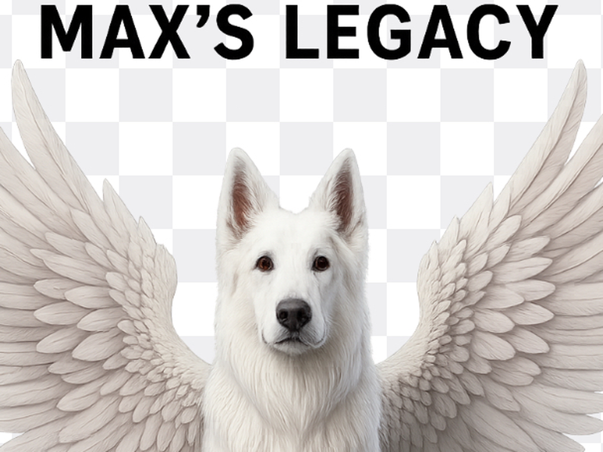 Fundraiser’s main image