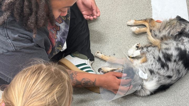 Main fundraiser photo