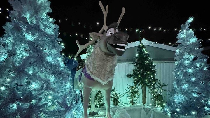 Tobys Christmas fundraiser 2025 campaign photo, 1 of 3