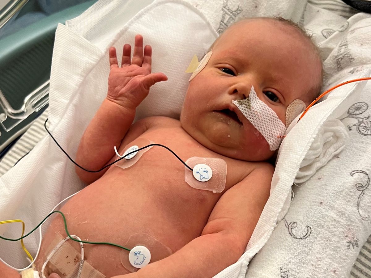 Fundraiser for Calli Koplitz by Amanda Koplitz : Support Baby Addi ...