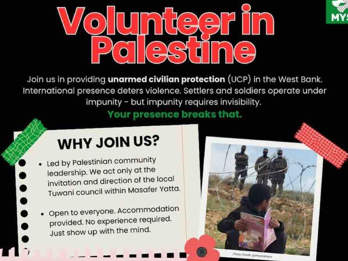 Help Me Make it to West Bank for Olive Harvest campaign photo, 1 of 11