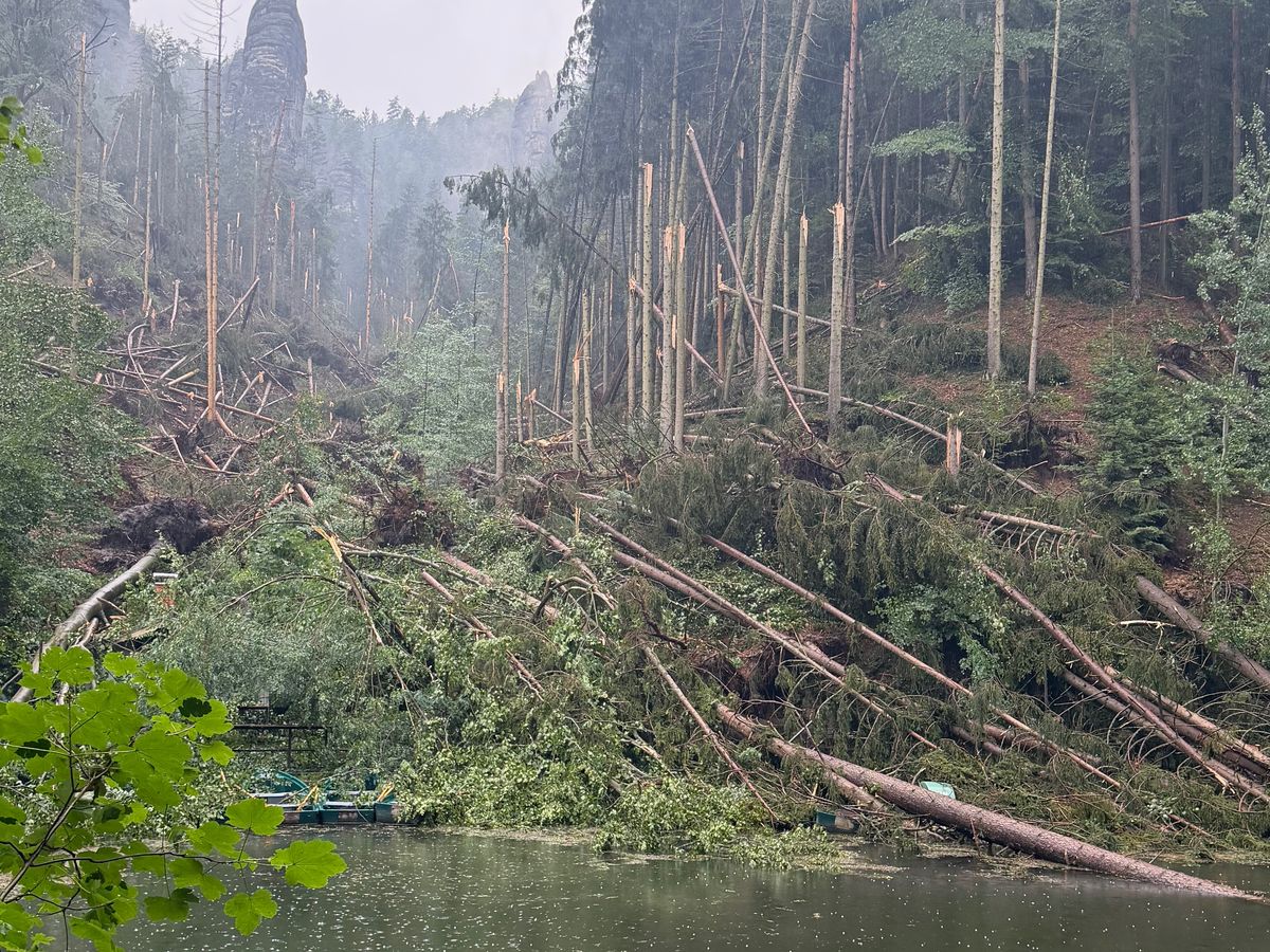 Hauptbild des Spendenaufrufs