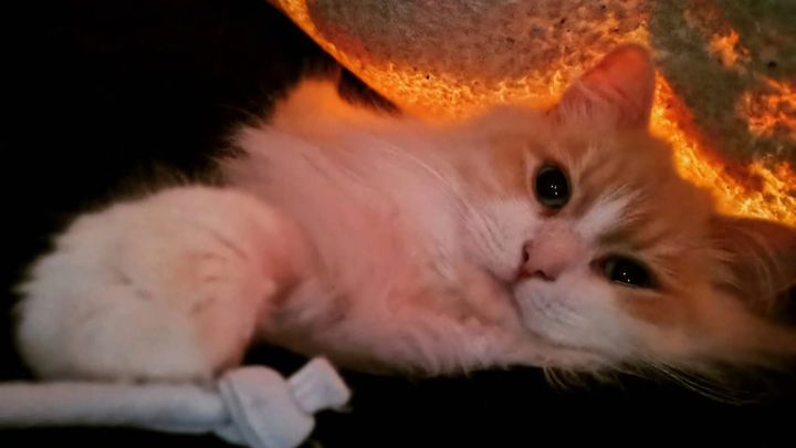 Hilfe für den kleinen Kämpfer campaign photo, 1 of 5