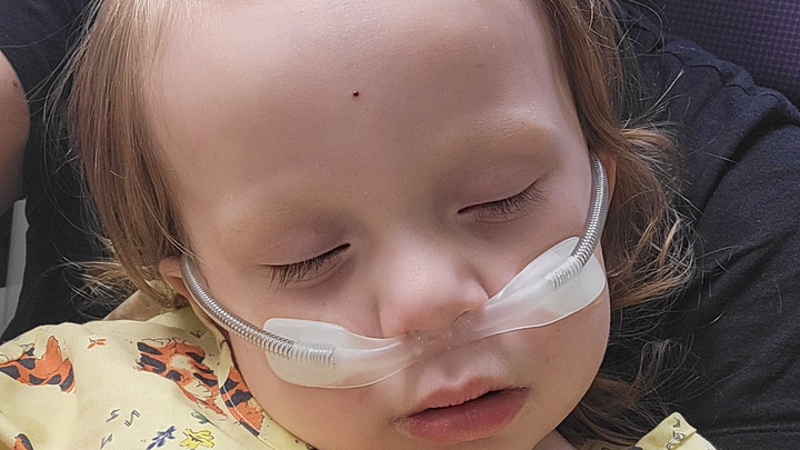 Help Cathryn Nelson Recover Stolen Funds campaign photo, 1 of 6