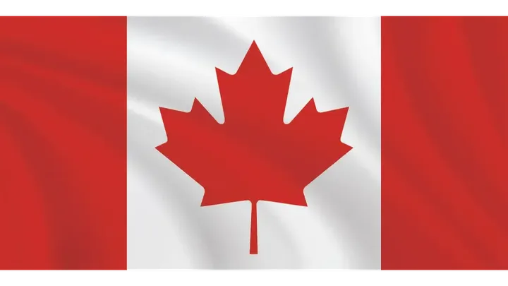 Canadian Conservative Movement campaign photo, 1 of 4