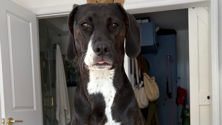 Help Winnie Get the Life-Saving Care She Needs campaign photo, 1 of 3