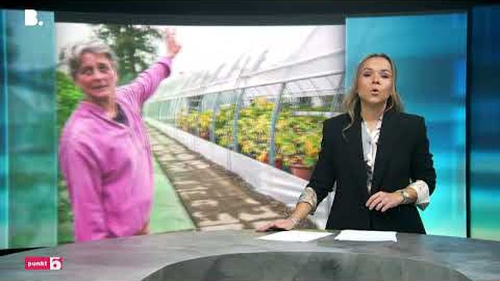 Nach verheerendem Sturm: Biogärtnerei in Not video thumbnail, 1 of 4