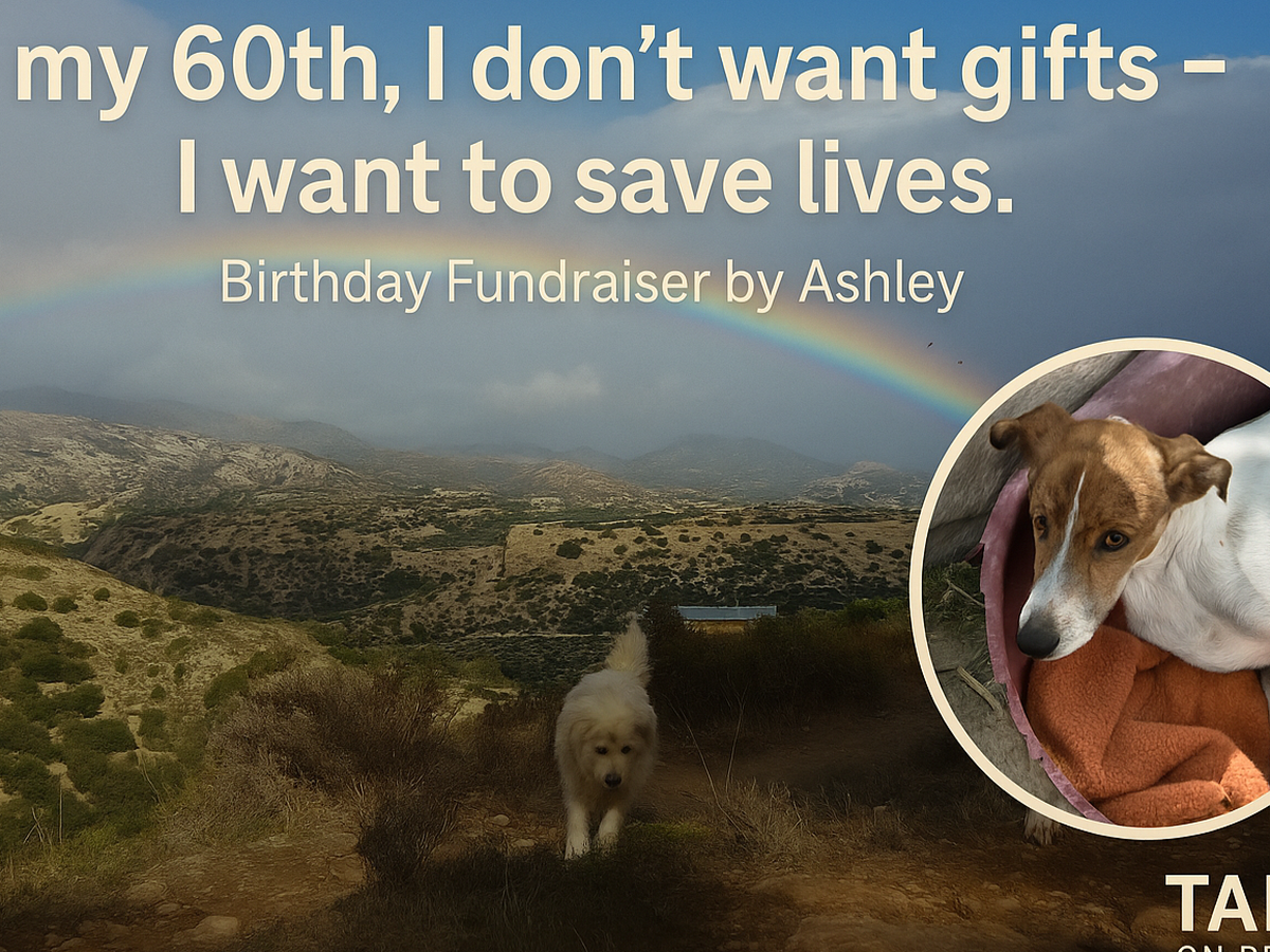 Fundraiser’s main image