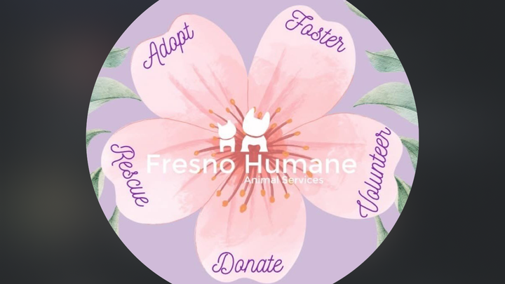 Support Fresno Humane: Warmth for Animals campaign photo, 1 of 3