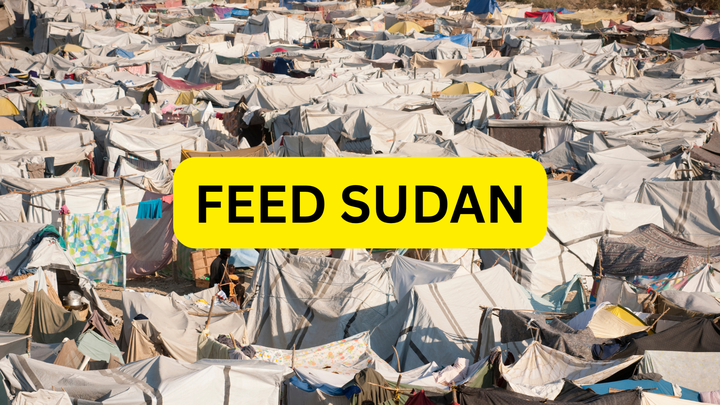 Help Feed 400 Families a Day in Sudan campaign photo, 1 of 2