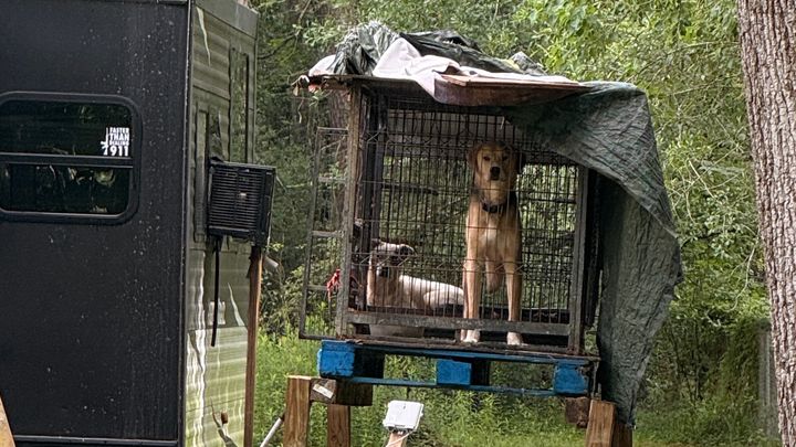 Help Save 20 Dogs in Huffman TX