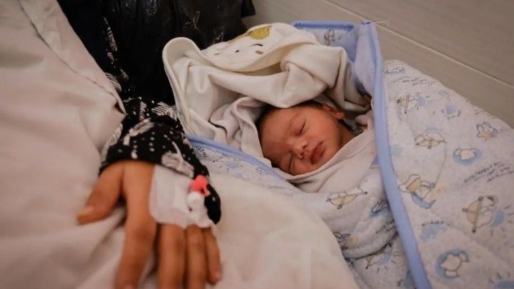Foto de la campaña Help a Family Survive the War On Gaza, 1 de 3