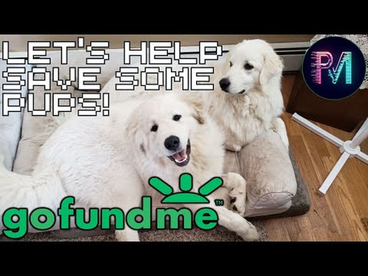 Fundraiser’s main image