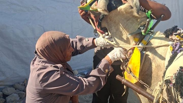 Mutual Aid in Gaza – by women for women campaign photo, 1 of 8