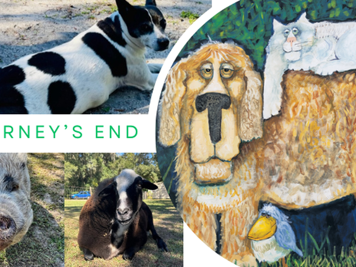 Help Journey's End Animal Sanctuary Find a New Home campaign photo, 1 of 3