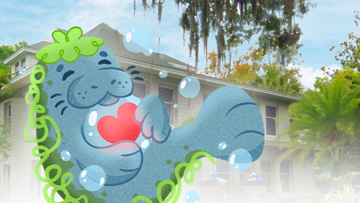 Help Manateam for Manatee Kids: Emergency Kit Fundraiser campaign photo, 1 of 3
